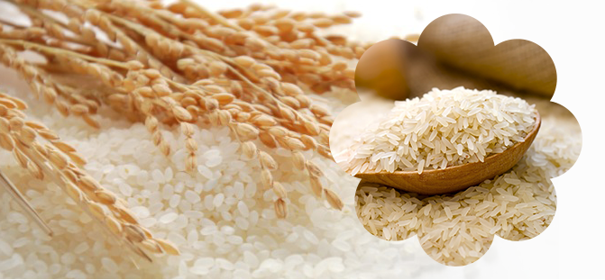 rice&spices_06
