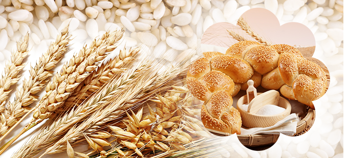 timber&sesame_12